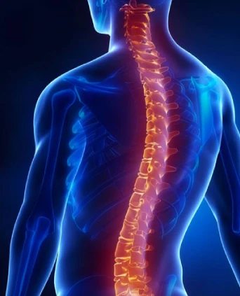 Spine Surgery & Interventional