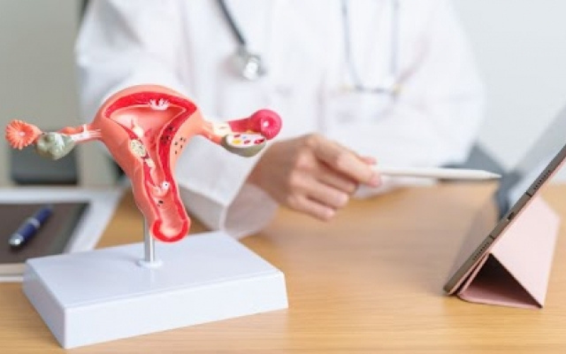 The search for a reliable urology hospital treatment becomes essential for anyone handling kidney bladder or urinary tract disorders. A dependable medical facility should consist of skilled physicians, mod